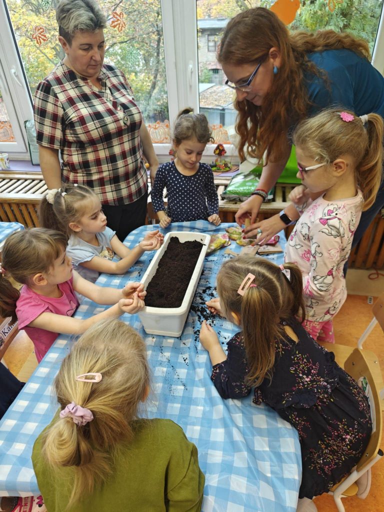 Wysiewanie łaki kwietnej w pojemniku