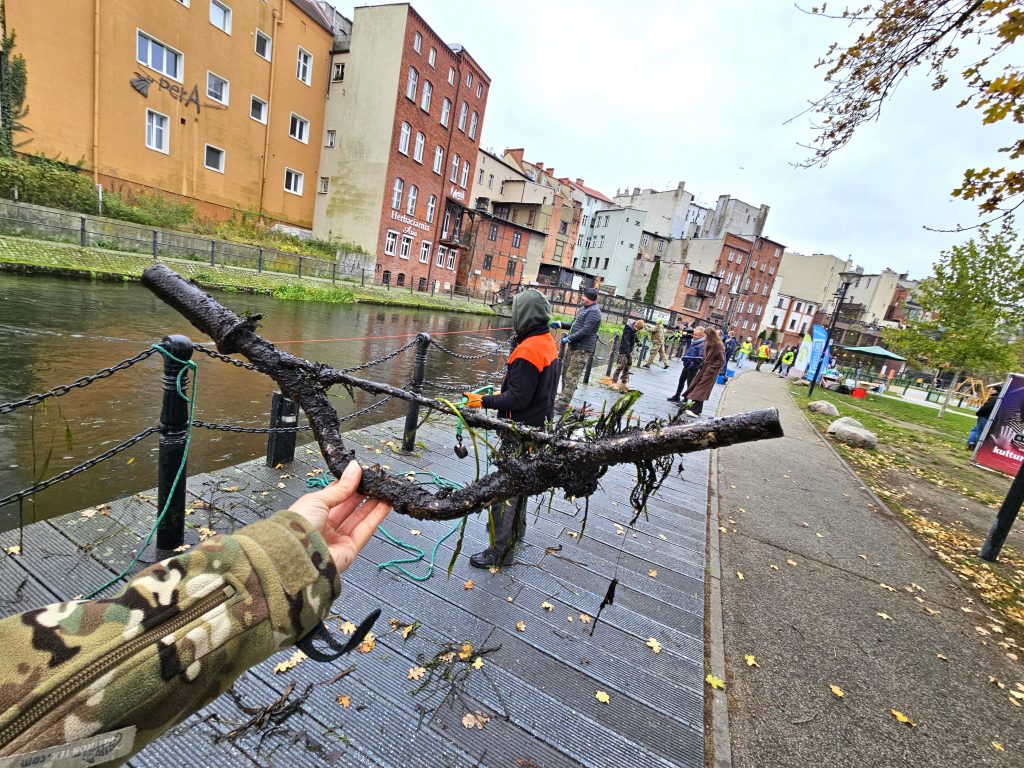 wyławianie śmieci z Młynówki 