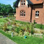 Ogród deszczowy w Muzeum Wodociągów MWiK