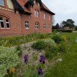 Ogród deszczowy w Muzeum Wodociągów