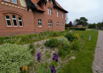 Ogród deszczowy w Muzeum Wodociągów