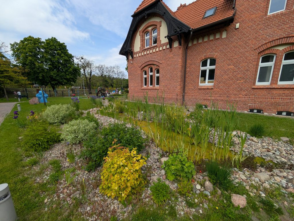 Ogród deszczowy w Muzeum Wodociągów