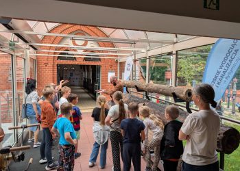 Wycieczka w Hali Pomp