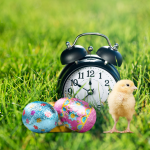 Obrazek wielkanocny - kurczak obok czekoladowych jajek na trawie, za nimi analogowy budzik