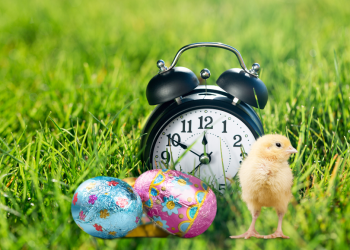 Obrazek wielkanocny - kurczak obok czekoladowych jajek na trawie, za nimi analogowy budzik