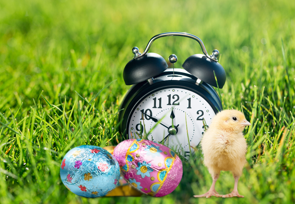 Obrazek wielkanocny - kurczak obok czekoladowych jajek na trawie, za nimi analogowy budzik